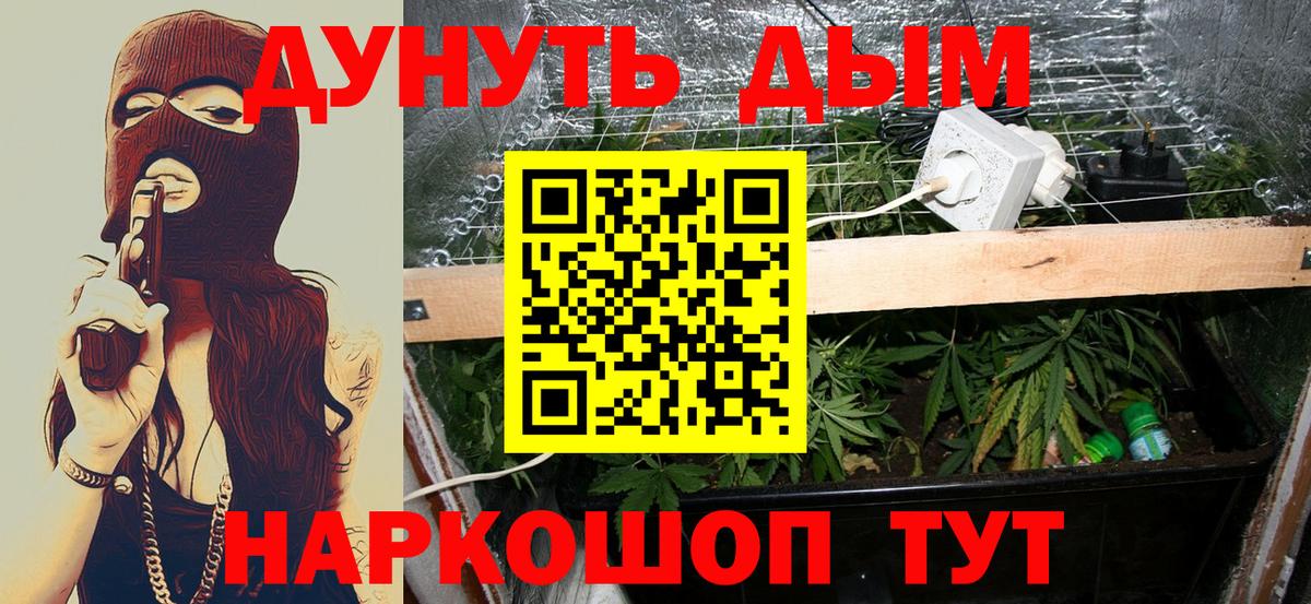 Каннабис сатива Орск